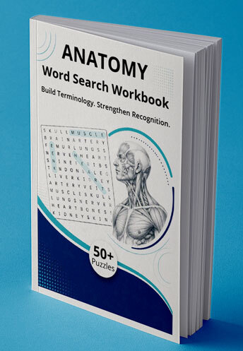 Anatomy Word Search Work paperback cover